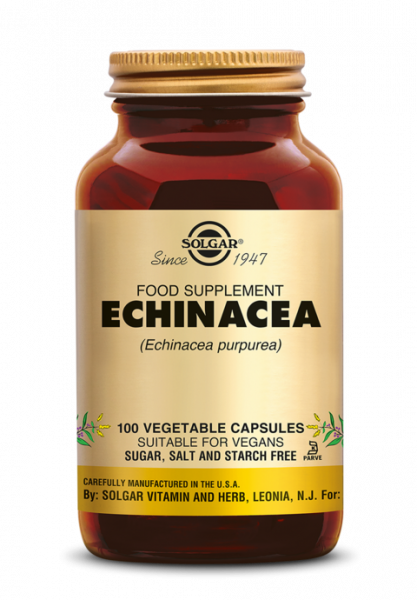 Echinacea (FP)